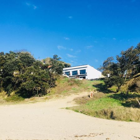 Chambre D'Hote Le Dauphin Bed & Breakfast Meschers-sur-Gironde Eksteriør bilde